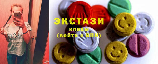 стаф Инта
