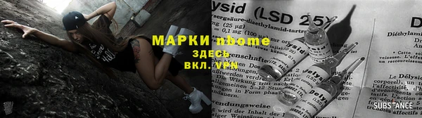 гашик Каменка