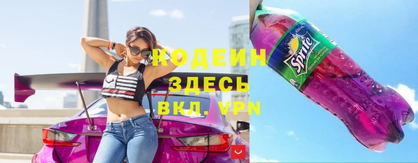 гашик Каменка