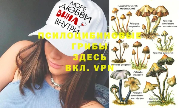 гашик Каменка