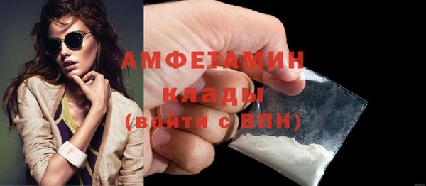 гашик Каменка