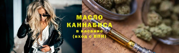 гашик Каменка