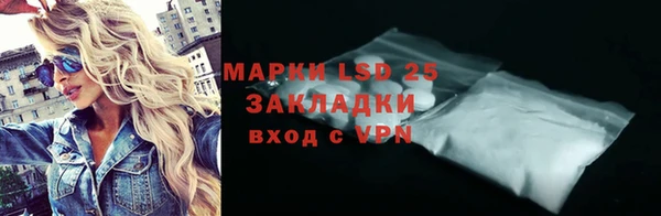 гашик Каменка