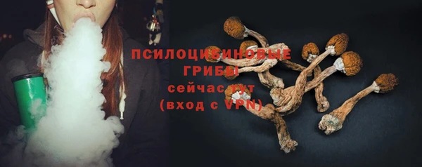 бошки Каменск-Шахтинский