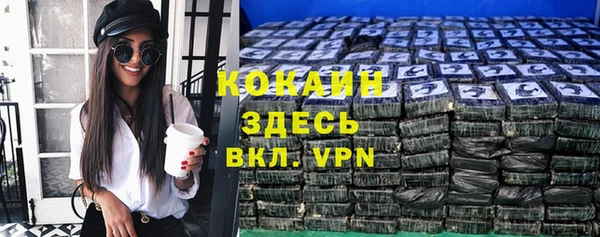 спиды Каменногорск