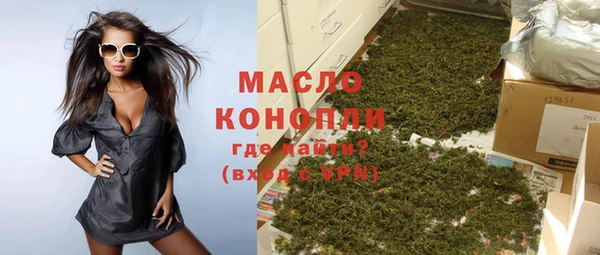 гашик Каменка