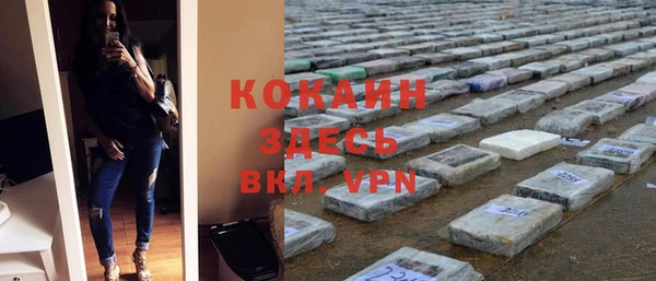 спиды Каменногорск
