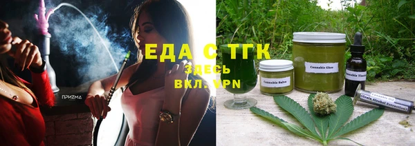 стаф Инта