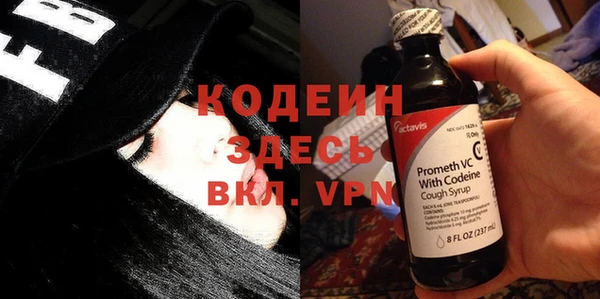 стаф Инта