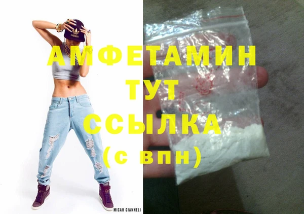 гашик Каменка