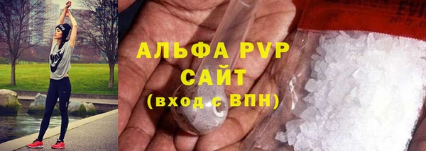 спиды Каменногорск
