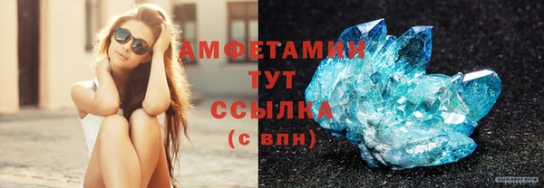 гашик Каменка
