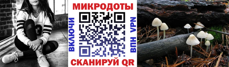 магазин shop состав Галлюциногенные грибы GOLDEN TEACHER Кувандык