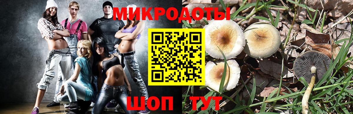 Кувандык  Галлюциногенные грибы мухоморы  где купить наркотик  Вход с VPN 